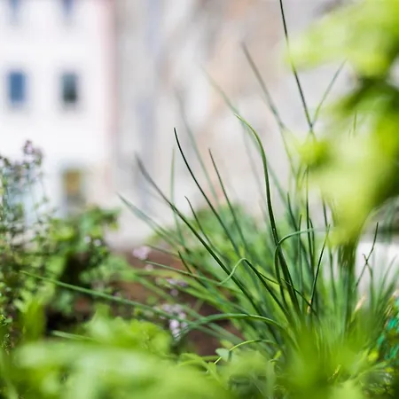 Cote Cour, Cote Source D'hotes 3* Chaudfontaine