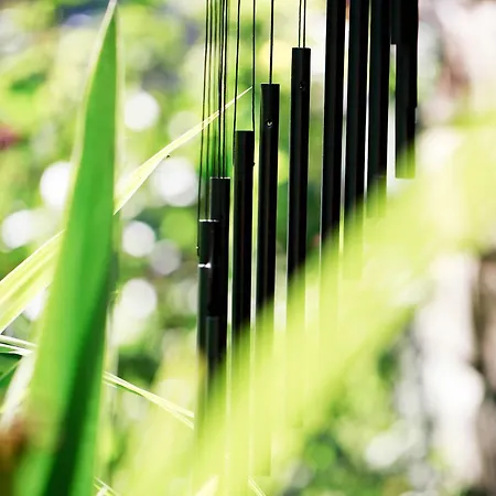 Côté Cour, Côté Source D'hôtes Alojamento de Acomodação e Pequeno-almoço